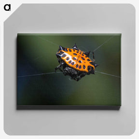1-37_Insects-Unlocked-Project_canvas