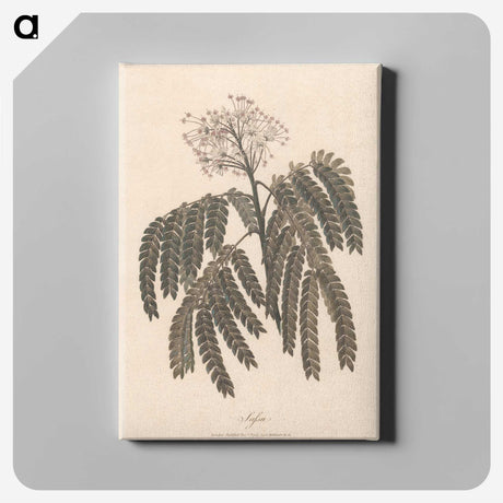 1-37_James-Heath_canvas
