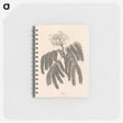 1-37_James-Heath_memo