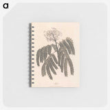 1-37_James-Heath_memo