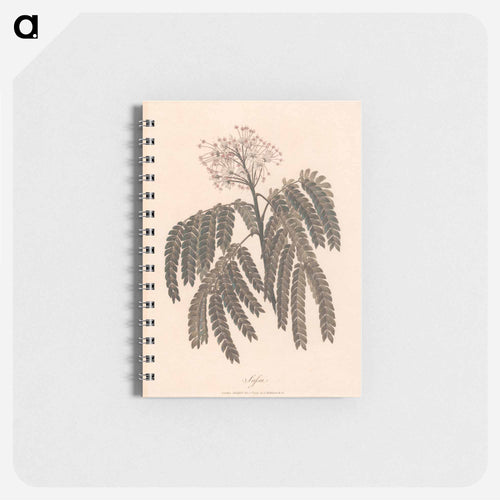 Sassa
 - ジェームス ヒース Memo.