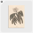 1-37_James-Heath_postcard