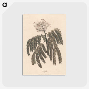 1-37_James-Heath_postcard