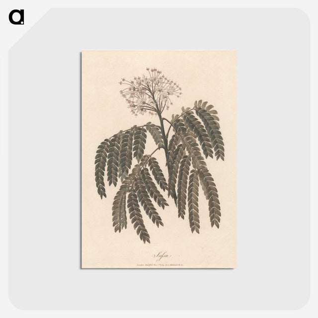 1-37_James-Heath_postcard