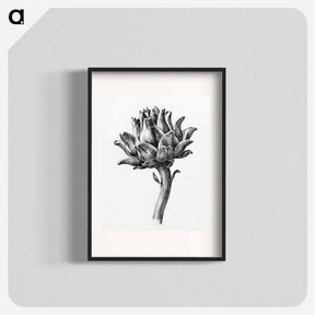 アートポスター-Artichoke - ジャン ベルナール Poster.