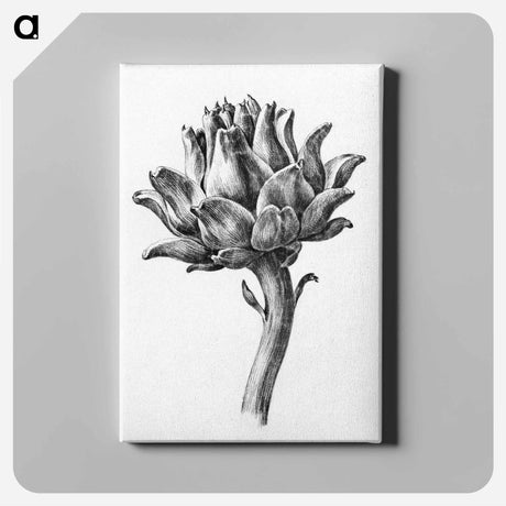 アートパネル-Artichoke - ジャン ベルナール Canvas.