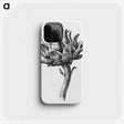 1-37_Jean-Bernard_phone