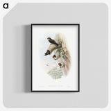 1-37_John-Gould_blk-crop