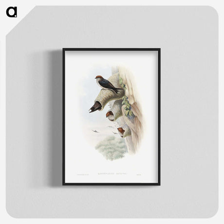 1-37_John-Gould_blk-crop