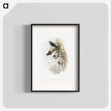 1-37_John-Gould_blk