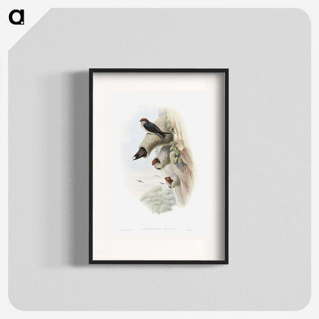 1-37_John-Gould_blk
