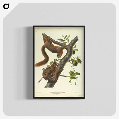 1-37_John-James-Audubon_blk-crop