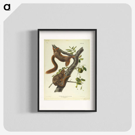 1-37_John-James-Audubon_blk