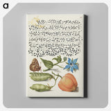1-37_Joris-Hoefnagel_canvas