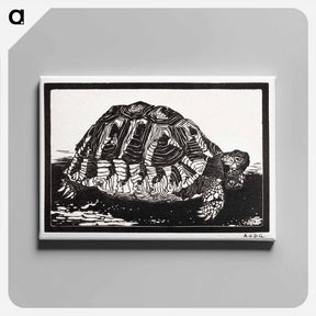 アートパネル-Turtle - ユリー デ フラーハ Canvas.