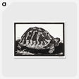 1-37_Julie-de-Graag_postcard