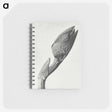 1-37_Karl-Blossfeldt_memo