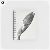 1-37_Karl-Blossfeldt_memo