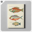 1-37_Louis-Renard_canvas