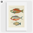 1-37_Louis-Renard_picture