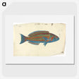 1-37_Luigi-Balugani_picture
