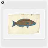 1-37_Luigi-Balugani_picture