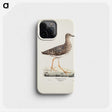 1-37_Magnus-von-Wright_phone