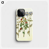 1-37_Maria-Sibylla-Merian_phone