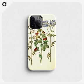 1-37_Maria-Sibylla-Merian_phone