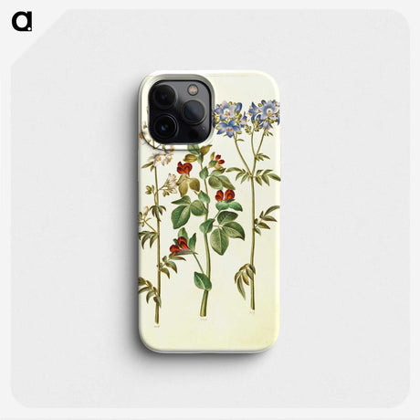 1-37_Maria-Sibylla-Merian_phone