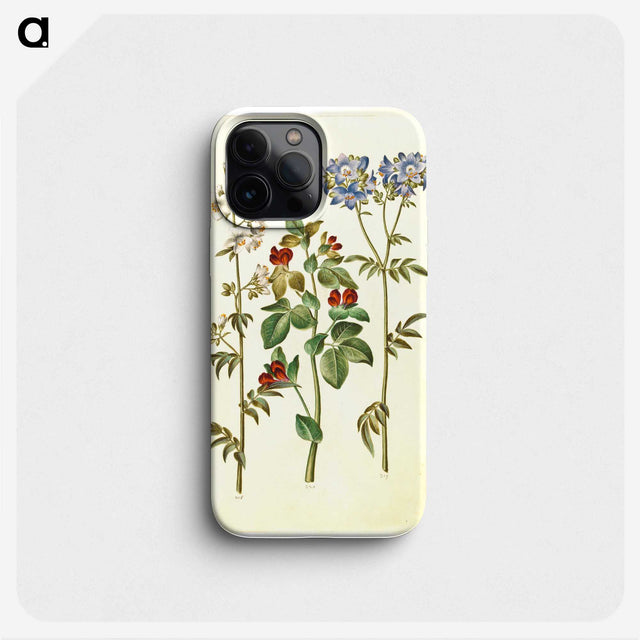1-37_Maria-Sibylla-Merian_phone