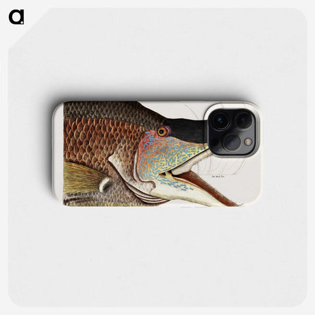 1-37_Mark-Catesby_phone