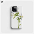 1-37_Mary-Vaux-Walcott_phone