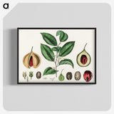 1-37_Medical-Botany_blk-crop