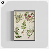 1-37_Native-Flowering-Plants-of-New-Zealand_blk-crop