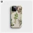 1-37_Native-Flowering-Plants-of-New-Zealand_phone