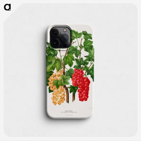 1-37_Nederlandsche-Flora-en-Pomona_phone