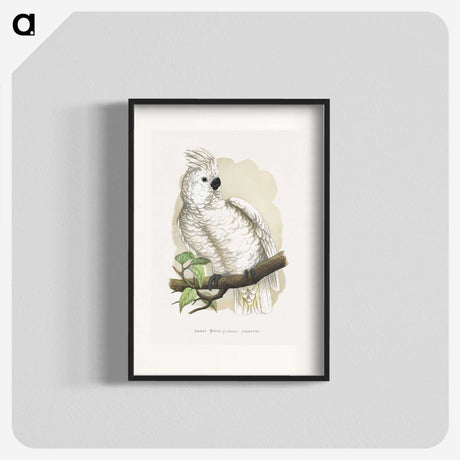 1-37_Parrots-in-Captivity_blk