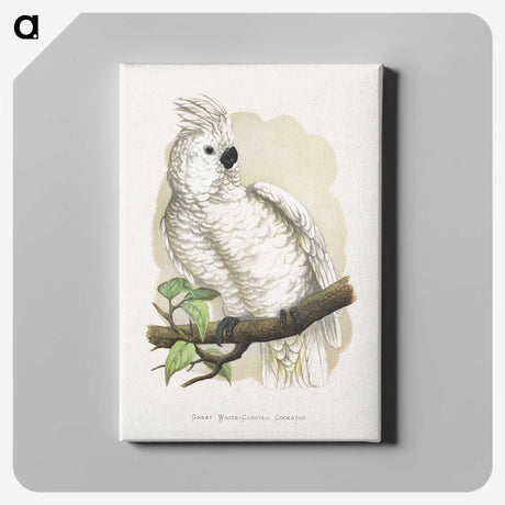 1-37_Parrots-in-Captivity_canvas