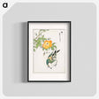 アートポスター-Grey Starling and Cercidiphyllum Japonicum
 - 鳥類図鑑 Poster.