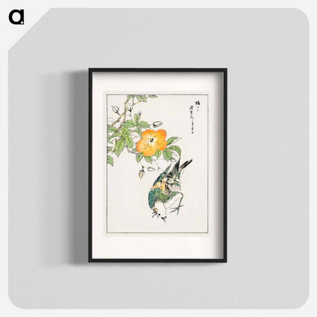 アートポスター-Grey Starling and Cercidiphyllum Japonicum
 - 鳥類図鑑 Poster.