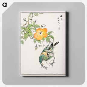 アートパネル-Grey Starling and Cercidiphyllum Japonicum
 - 鳥類図鑑 Canvas.