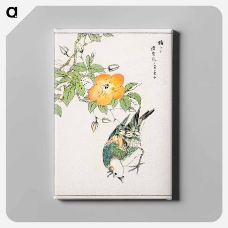 アートパネル-Grey Starling and Cercidiphyllum Japonicum
 - 鳥類図鑑 Canvas.