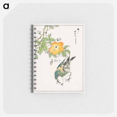 アートメモ帳-Grey Starling and Cercidiphyllum Japonicum
 - 鳥類図鑑 Memo.