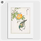 アートポスター-Grey Starling and Cercidiphyllum Japonicum
 - 鳥類図鑑 Poster.