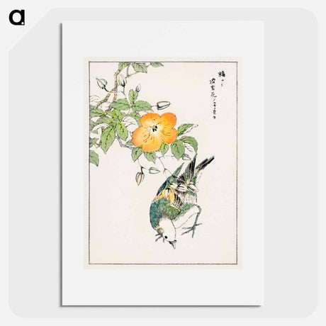 アートポスター-Grey Starling and Cercidiphyllum Japonicum
 - 鳥類図鑑 Poster.