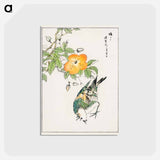 アートポストカード-Grey Starling and Cercidiphyllum Japonicum
 - 鳥類図鑑 Postcard.