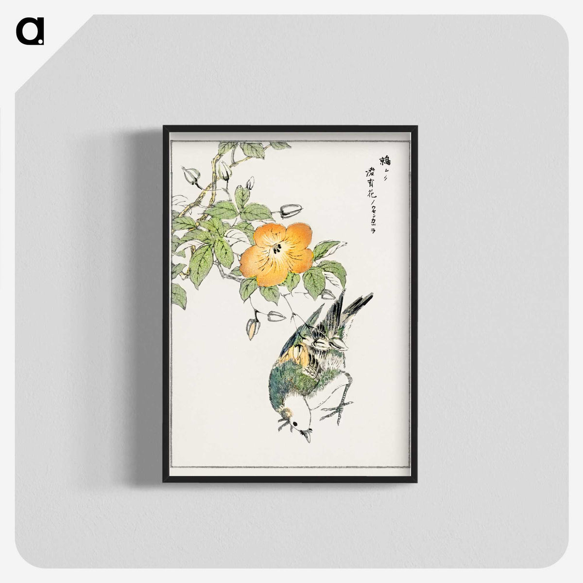 1-37_Pictorial-Monograph-of-Birds_blk-crop
