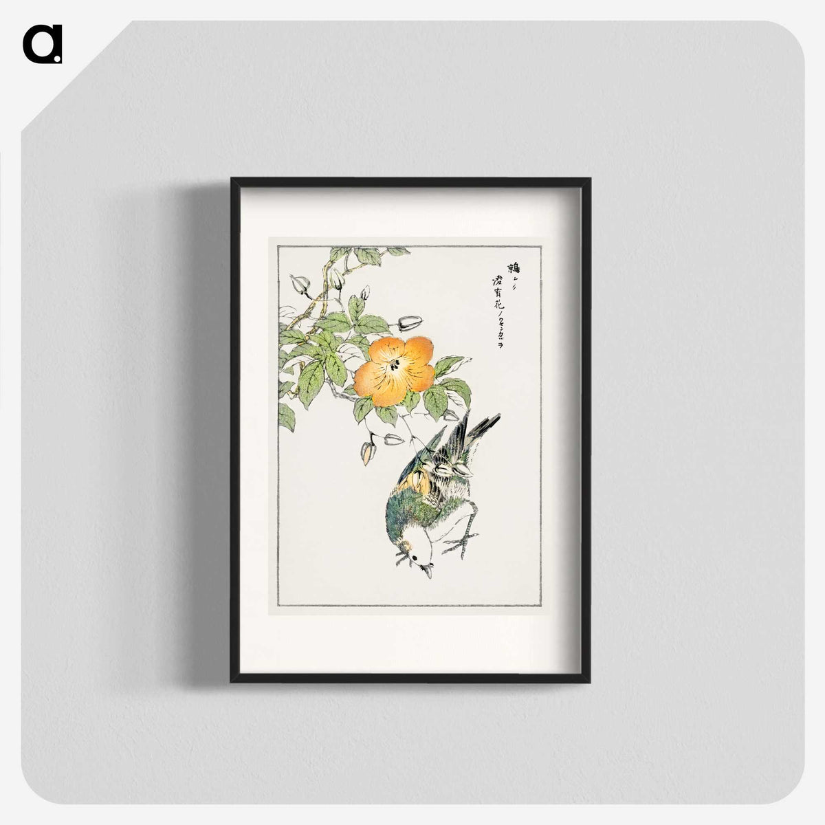 1-37_Pictorial-Monograph-of-Birds_blk