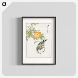 1-37_Pictorial-Monograph-of-Birds_blk